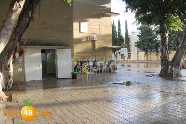 Idrab yaffa abo3azi (17).jpg